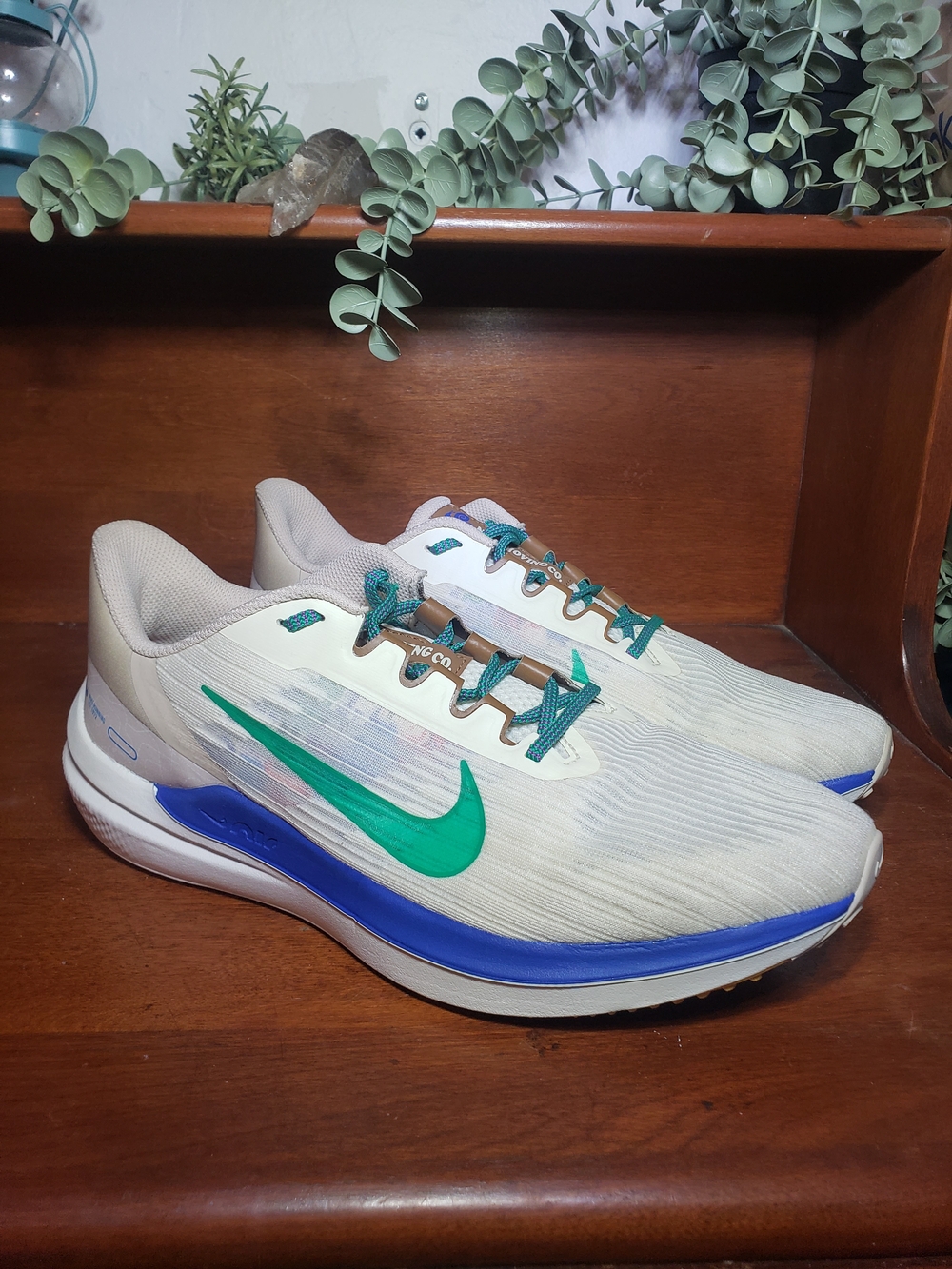 Nike Winflo 9 Premium Size 10